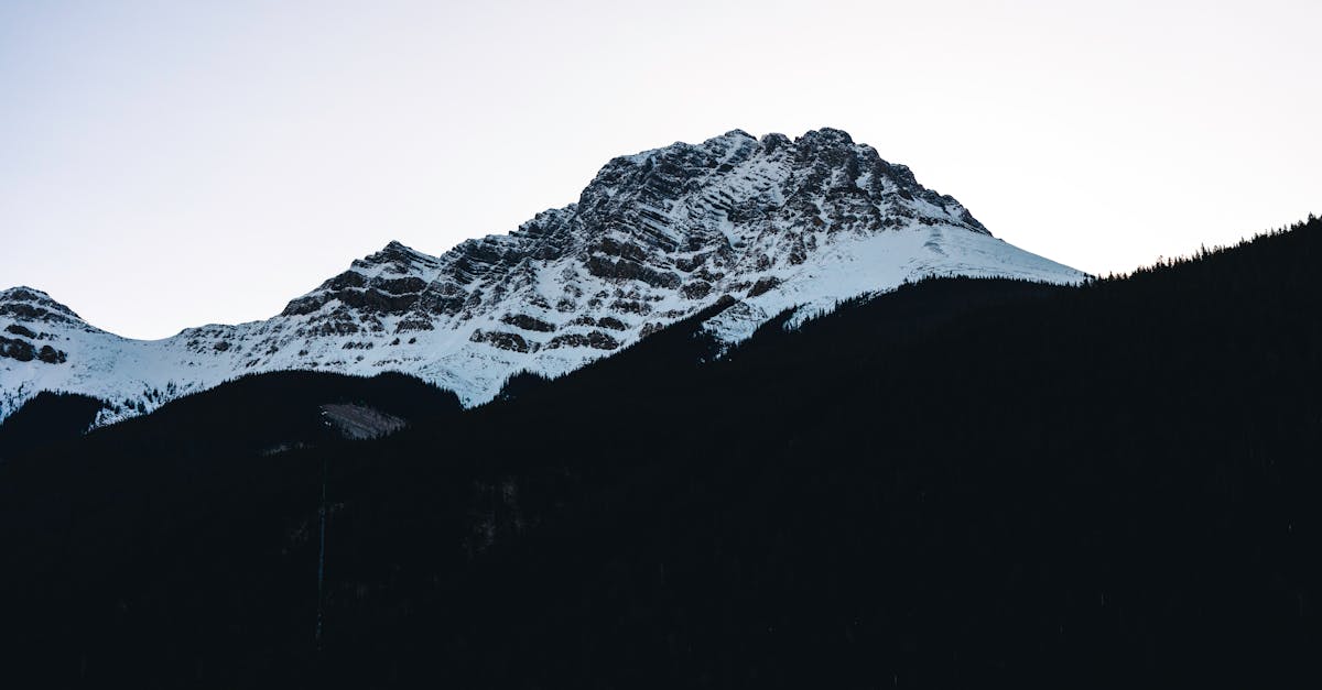 discover the benefits of neurovertebral decompression, an innovative technique for relieving back pain and improving mobility. learn how this method can help you regain optimal quality of life.