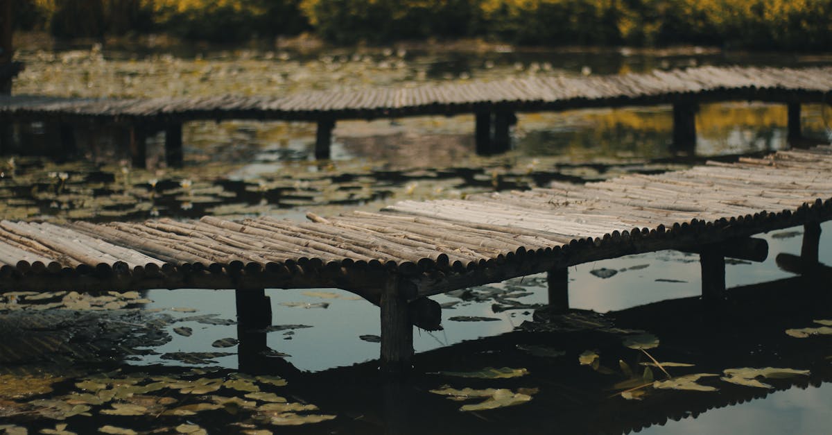 discover the benefits of neurovertebral decompression, an innovative method for relieving back pain and improving spinal health. ideal for those seeking a natural and effective approach.