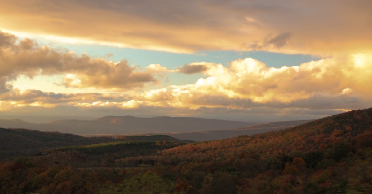 Décompression neurovertébrale : une thérapie complémentaire pour améliorer la qualité de vie des patients atteints de hernies discales Décompression neurovertébrale